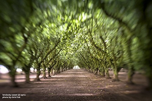 Amazon | Lensbaby LBO50 Sweet 50 光学レンズ。 | 顕微鏡レンズ 通販